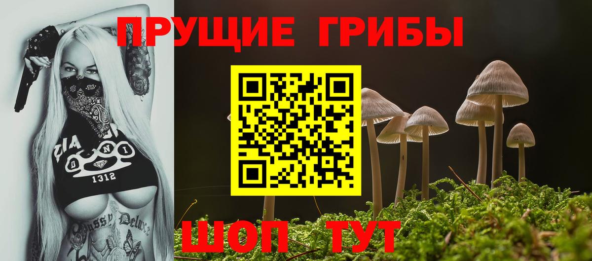 Псилоцибиновые грибы MAGIC MUSHROOMS  Вход с VPN  Галлюциногенные грибы MAGIC MUSHROOMS  Гагарин 