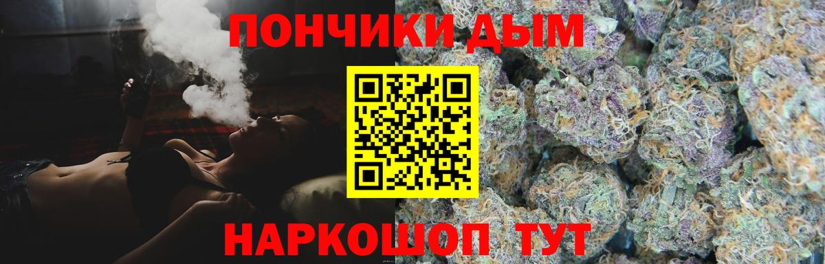 Конопля семена  Канабис сатива  Вход с VPN  Гагарин 